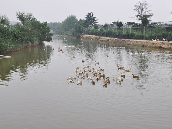 牧场风采